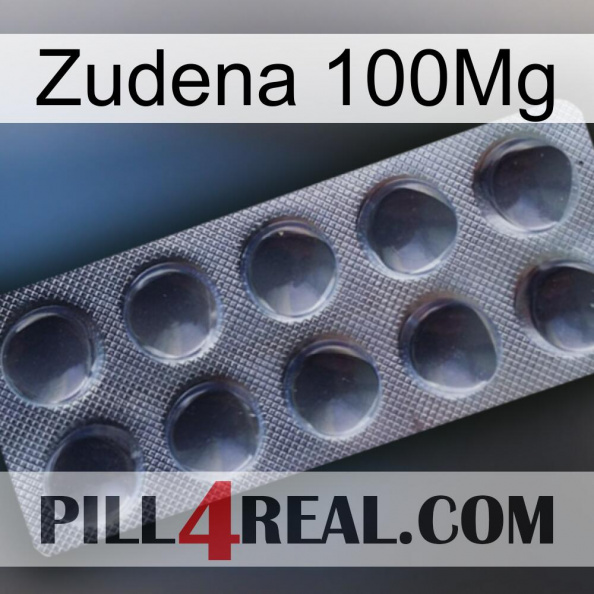 Zudena 100Mg 30.jpg